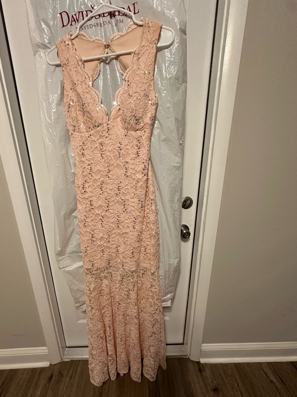 Night Way Collections Blush Lace Maxi Dress